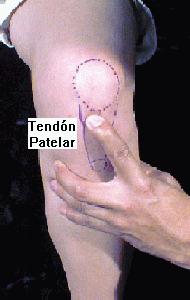 Dr. Arturo Almazan   55646000 y 55642870