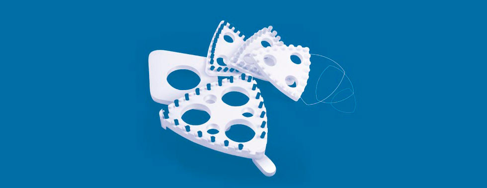 Cepillos limpiadores